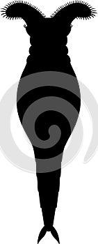 Black silhouette of bdelloid rotifer